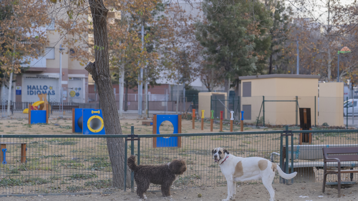 Dos perros en el pipi-can del Parque Francolí con la nueva zona ‘agility’ de fondo, la cual está cerrada y no es accesible.