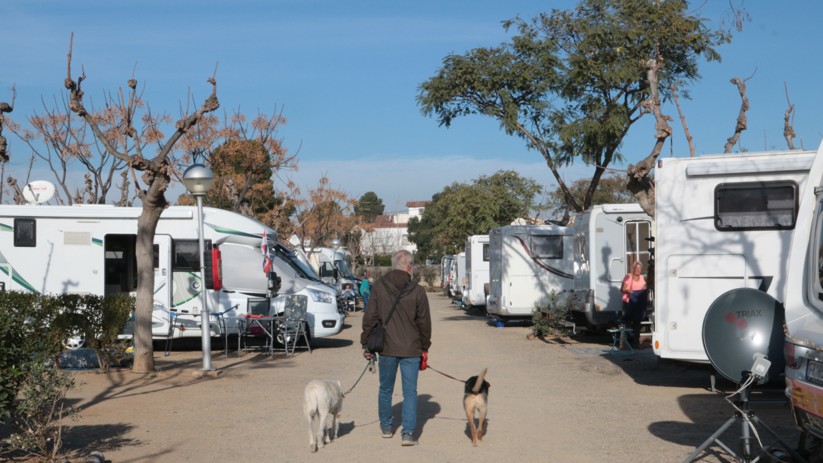 Un home passeja els seus dos gossos a la zona d'autocaravanes del Càmping la Llosa de Cambrils.