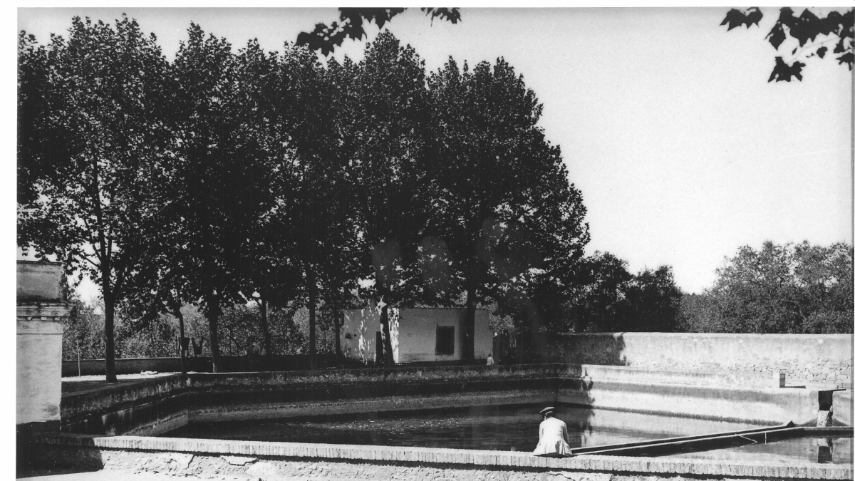 Fotografia d’arxiu de la Bassa Nova.