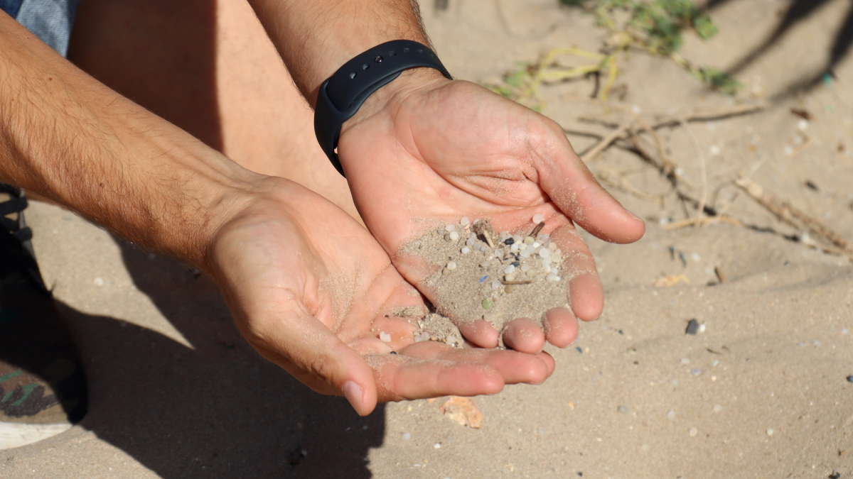 Algunos de los pelets que hay en la playa la Pineda de Vila-seca.