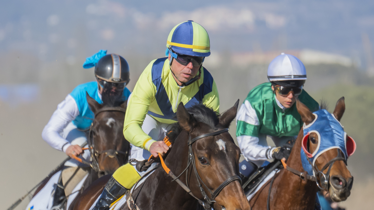Una de las carreras de la edición del año pasado.