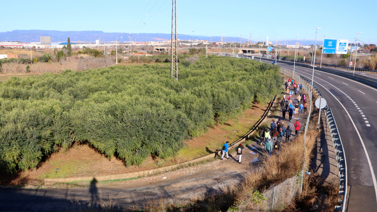 Un grup de persones participen en la passejada per l'horta de Tarragona, a tocar de l'A-27.