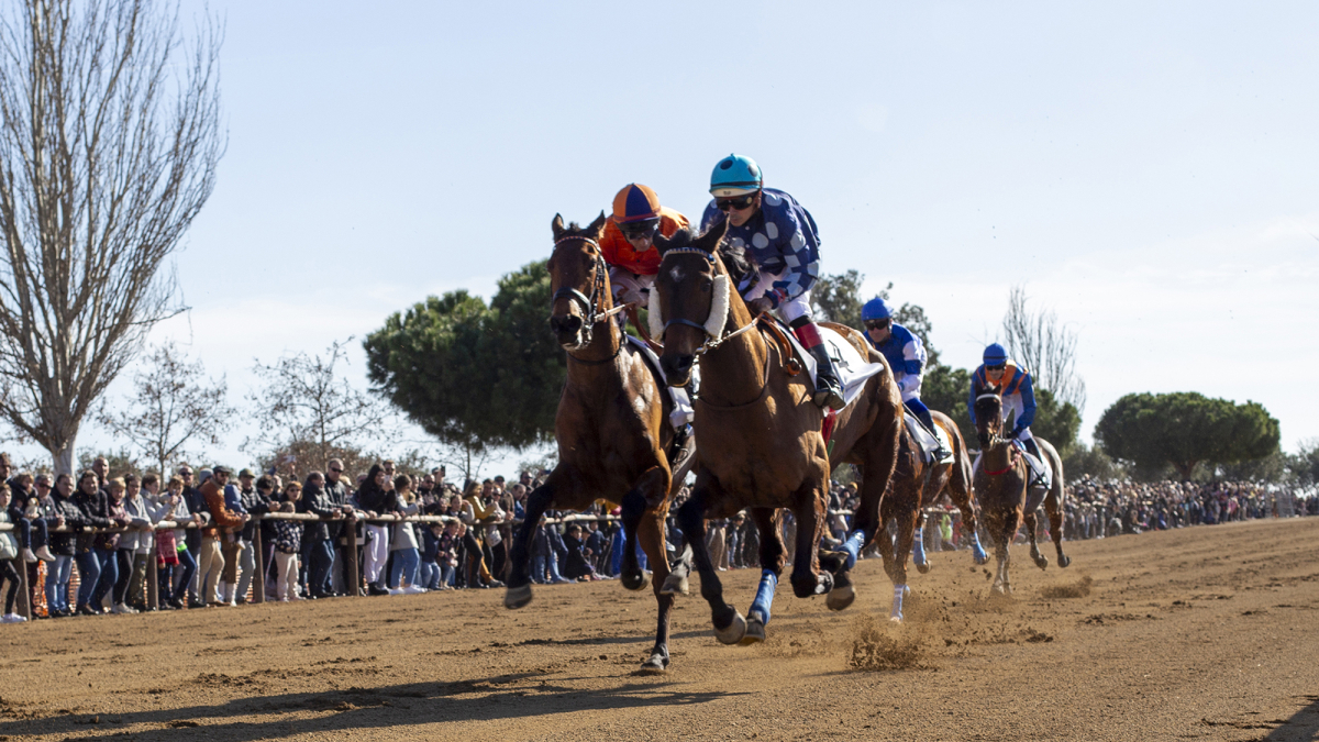 Los jueces han necesitado del uso de la foto finish con el fin de resolver las llegadas finales en cada una de las tres carreras.