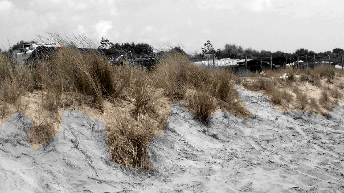 Simulació d’una duna de la platja Llarga.