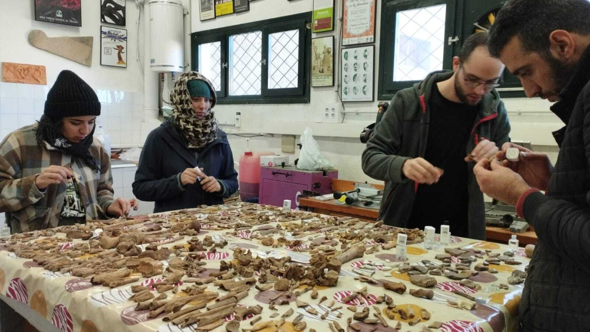 Tareas de laboratorio en las instalaciones cedidas por el Museo de la Vida Rural de l'Espluga de Francolí.