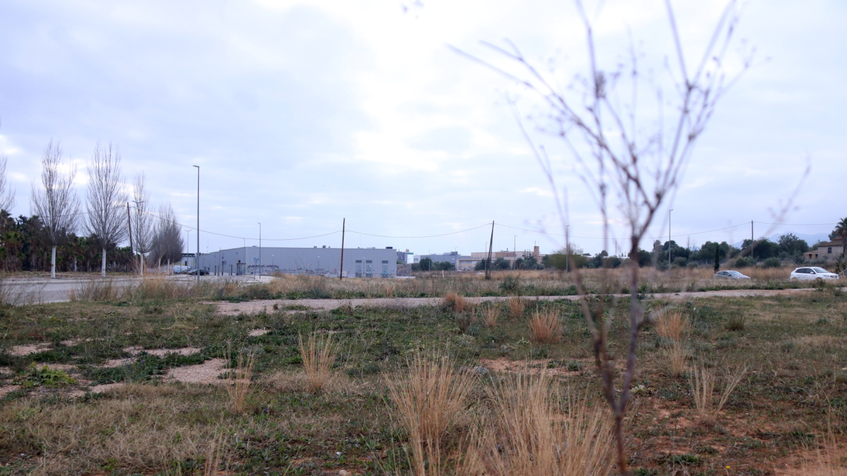 Los terrenos donde está previsto construir la nueva base de los Agentes Rurales en el Montsià y la nueva comisaría de la policía local de Amposta.