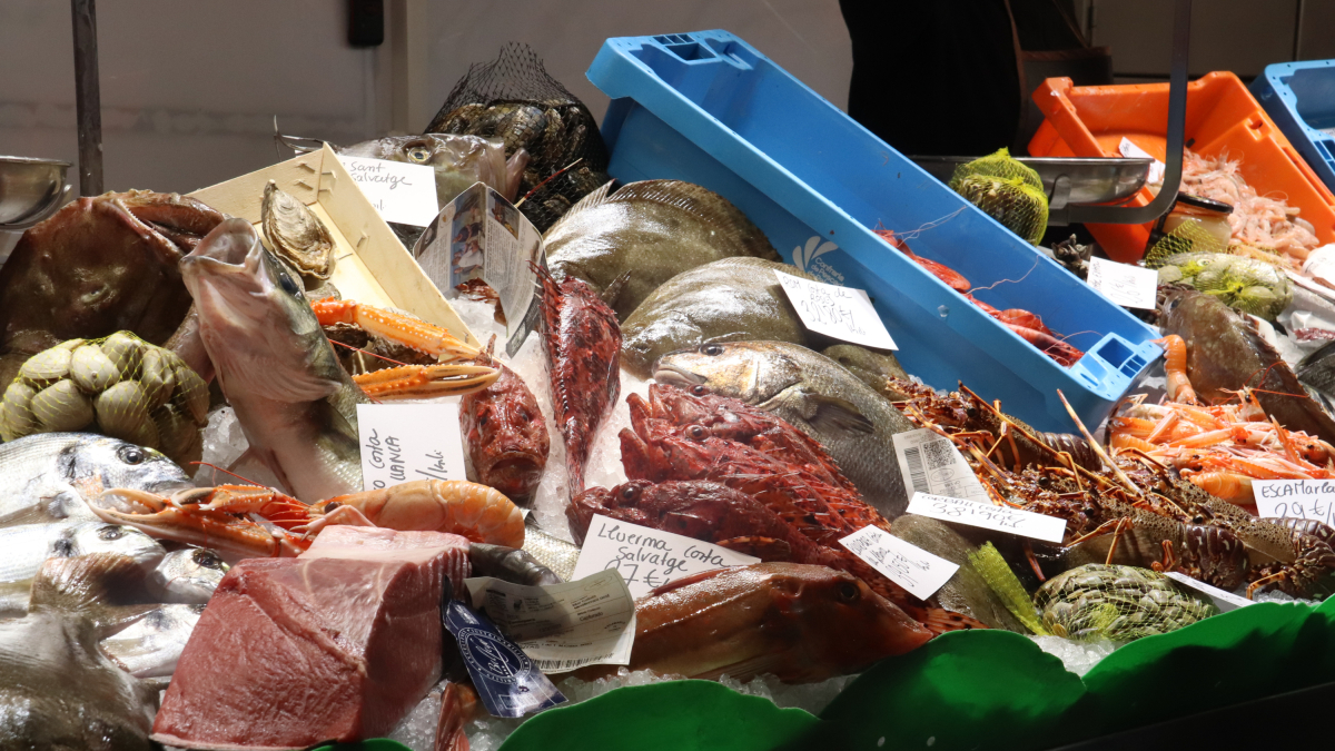 Pescado|Pez en un puesto de un Mercado.