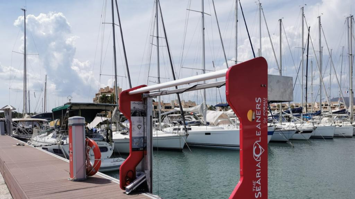 Skimmers en el Puerto de Tarragona.