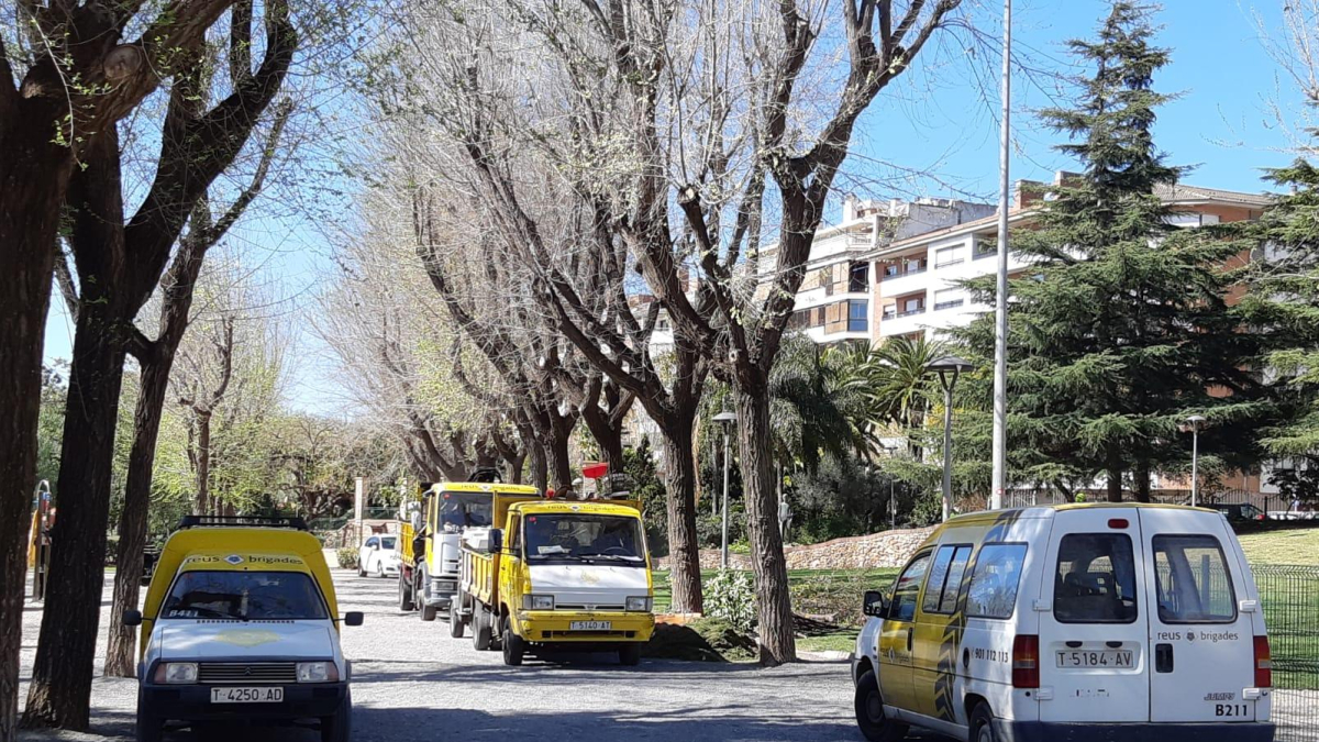 Trabajos de jardinería de las Brigadas Municipales en el parque de Sant Jordi