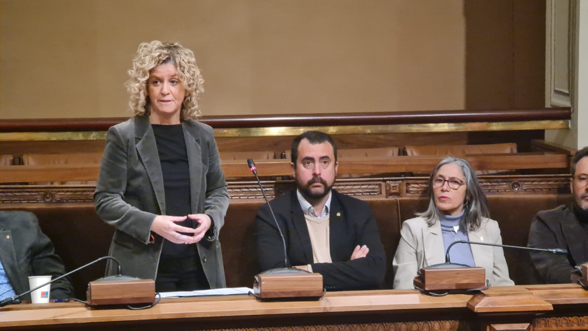 La diputada de Junts a la Diputació de Tarragona, Meritxell Roigé, durant una intervenció en sessió plenària