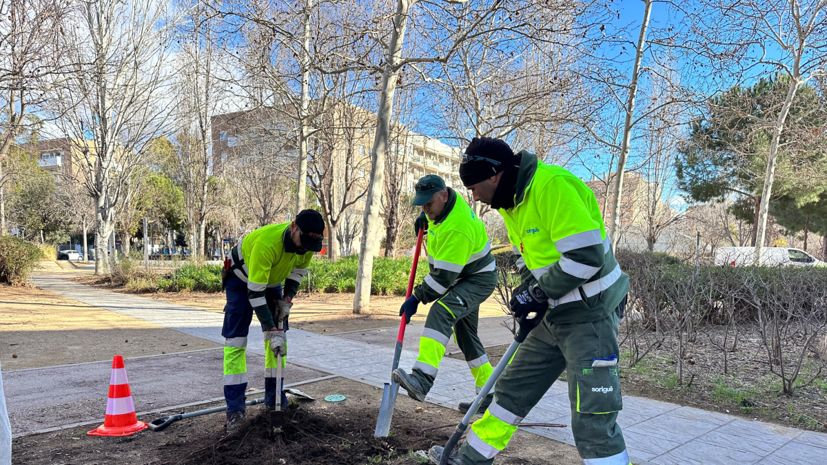 Trabajos de jardinería en el parque Gandhi