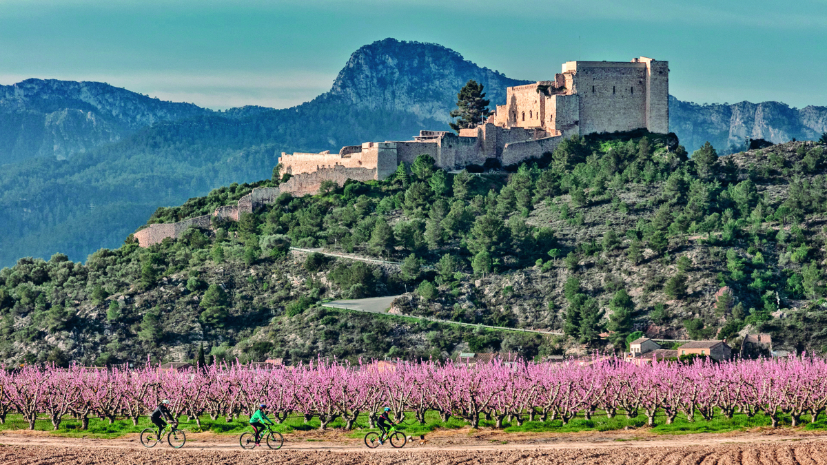 Los campos de almendros, melocotoneros y cerezas entintan el paisaje con los colores blanco y rosa.