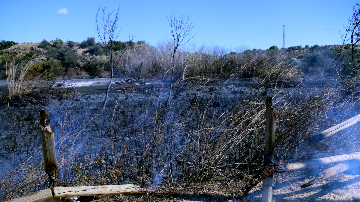 Un dels punts cremats de l'incendi produït pròxim a uns polígons industrials a Tortosa.