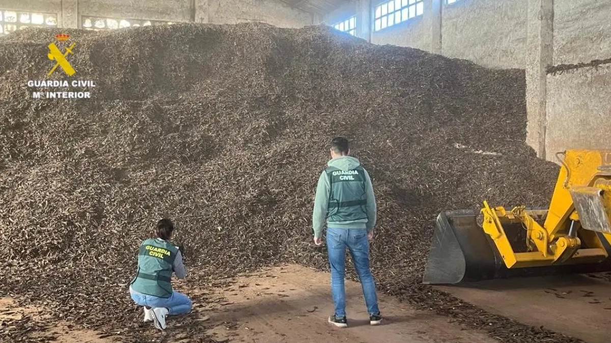 Imatge d'algunes de les garrofes robades.