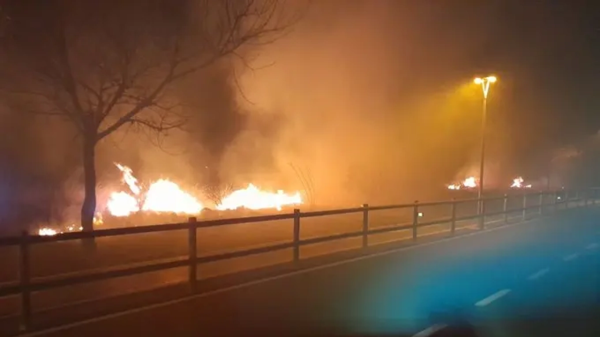 Imagen del incendio en Riumar, Deltebre.