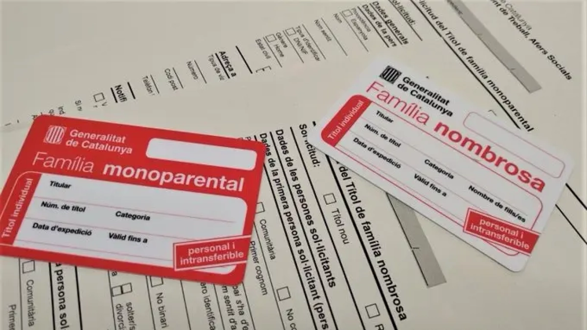 Carné familia monoparental.