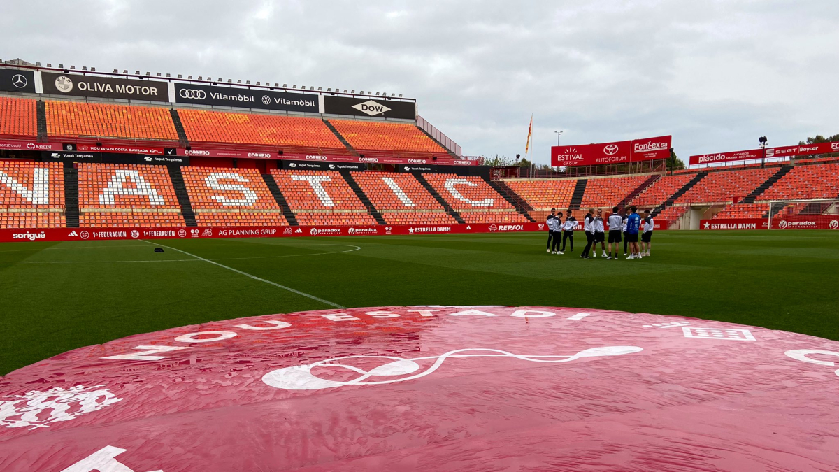 La gespa del Nou Estadi Costa Daurada