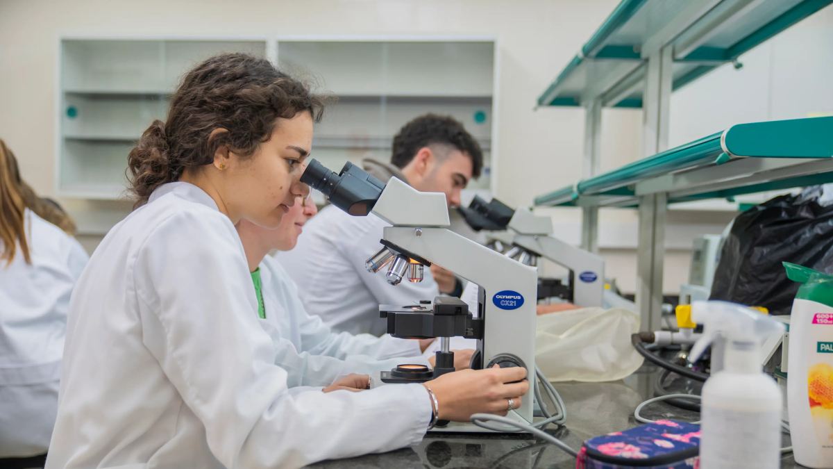 Instante del desarrollo de una clase en los laboratorios de la Facultad de Medicina y Ciencias de la Salud de la URV.
