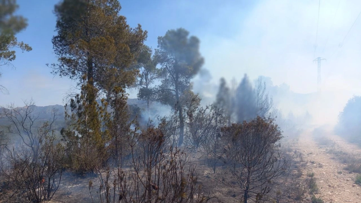 Imatge de l'incendi de vegetació a Rasquera