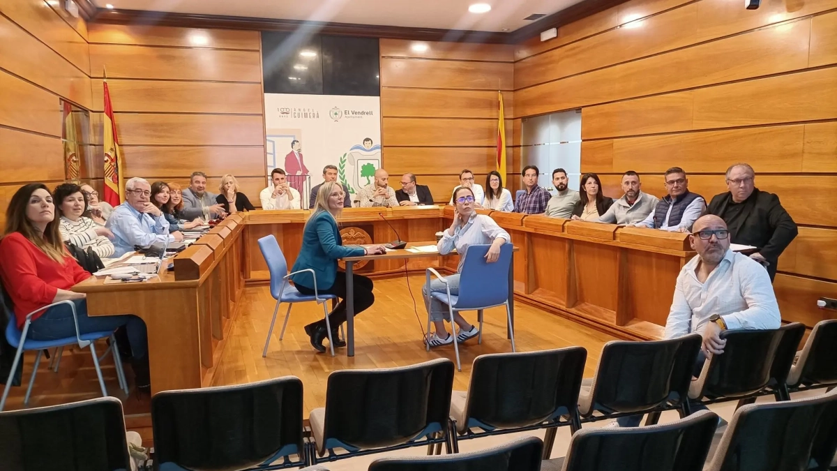 Imagen del pleno extraordinario.