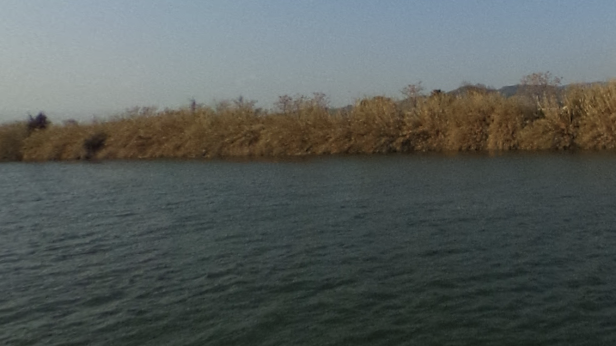Imatge del riu Ebre a l'altura de Campredó.