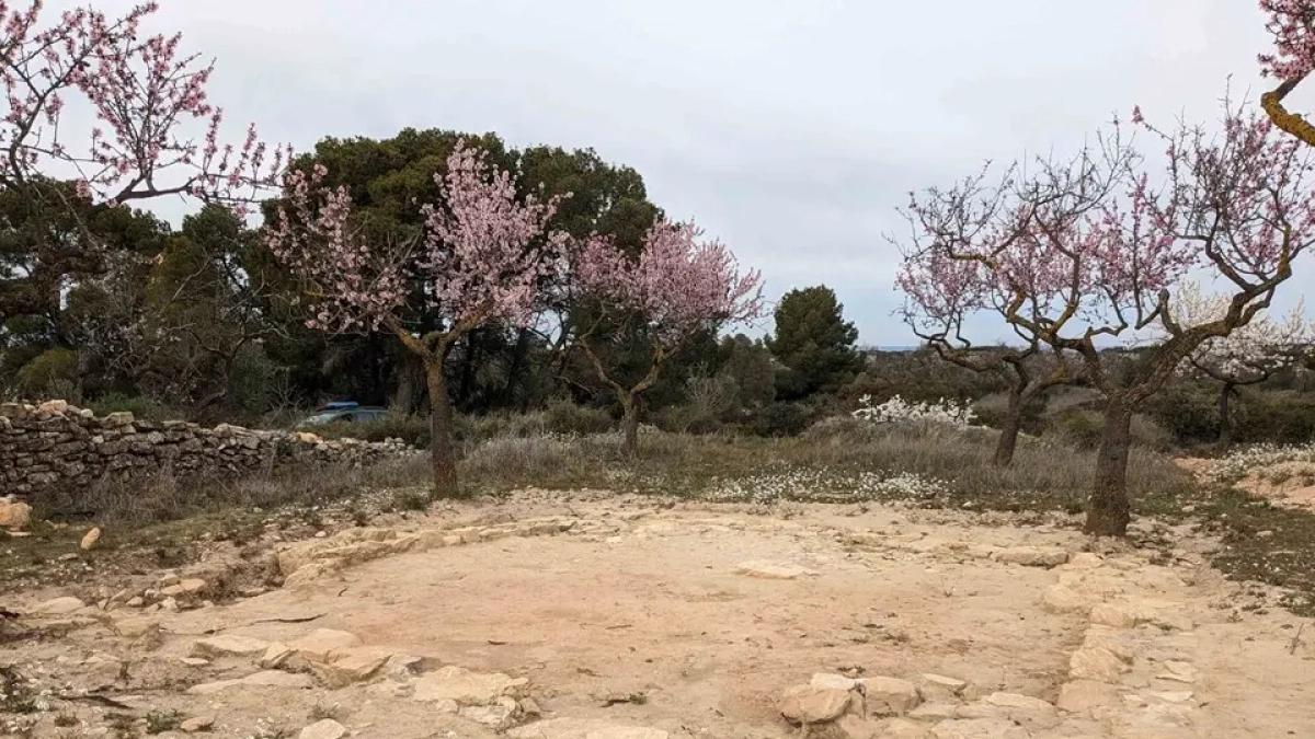 Imagen del yacimiento del Coll del Moro de Gandesa.