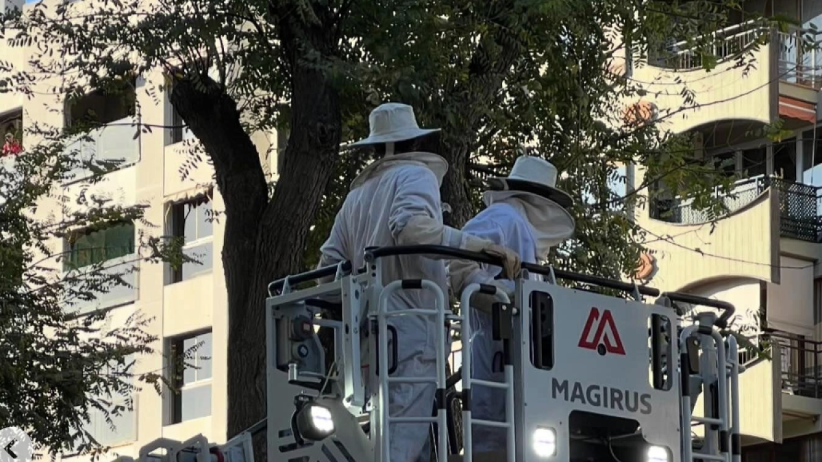 Imagen de los Bomberos realizando la extracción