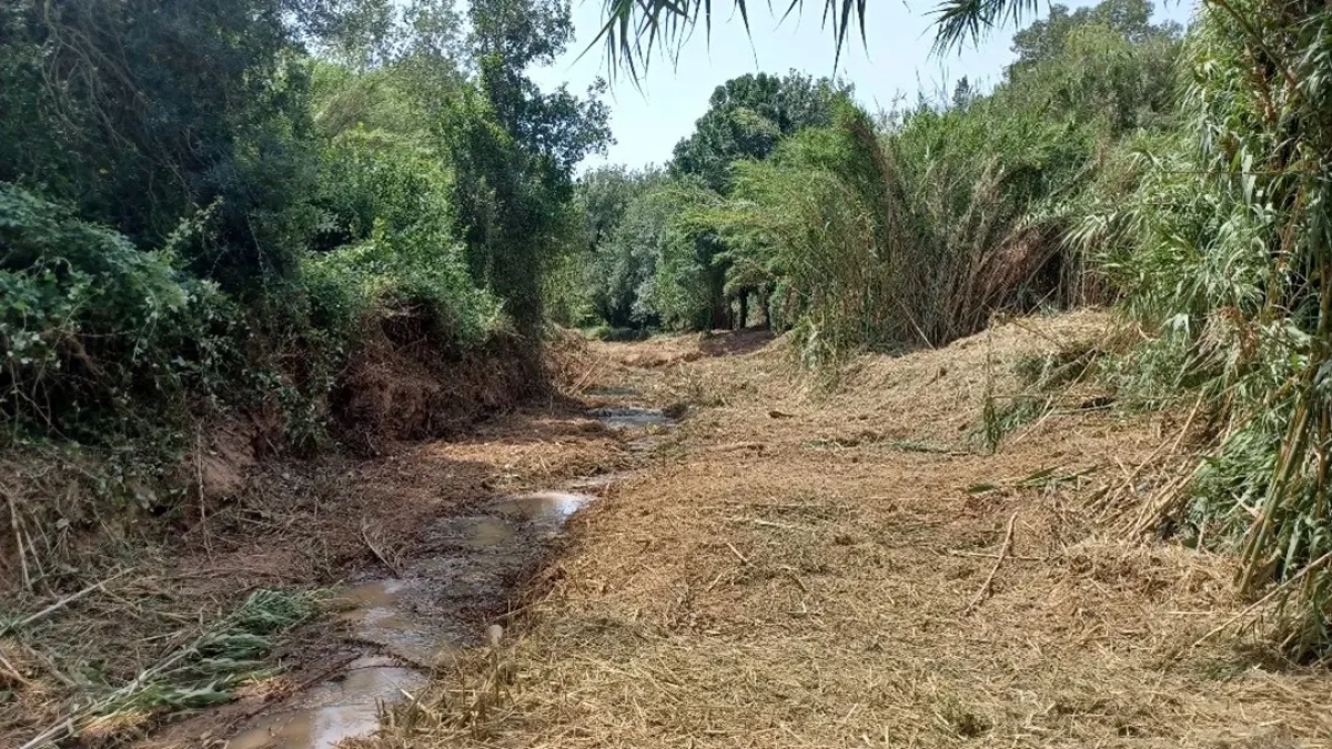 El torrente de Vallmoll, después de los trabajos.