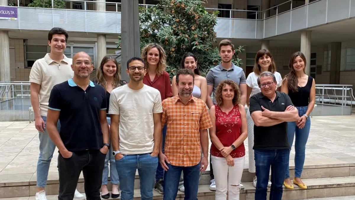 Equipo investigador que ha participado en la investigación.
