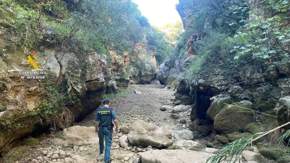 Estado del río Sènia en las Terres de l'Ebre.