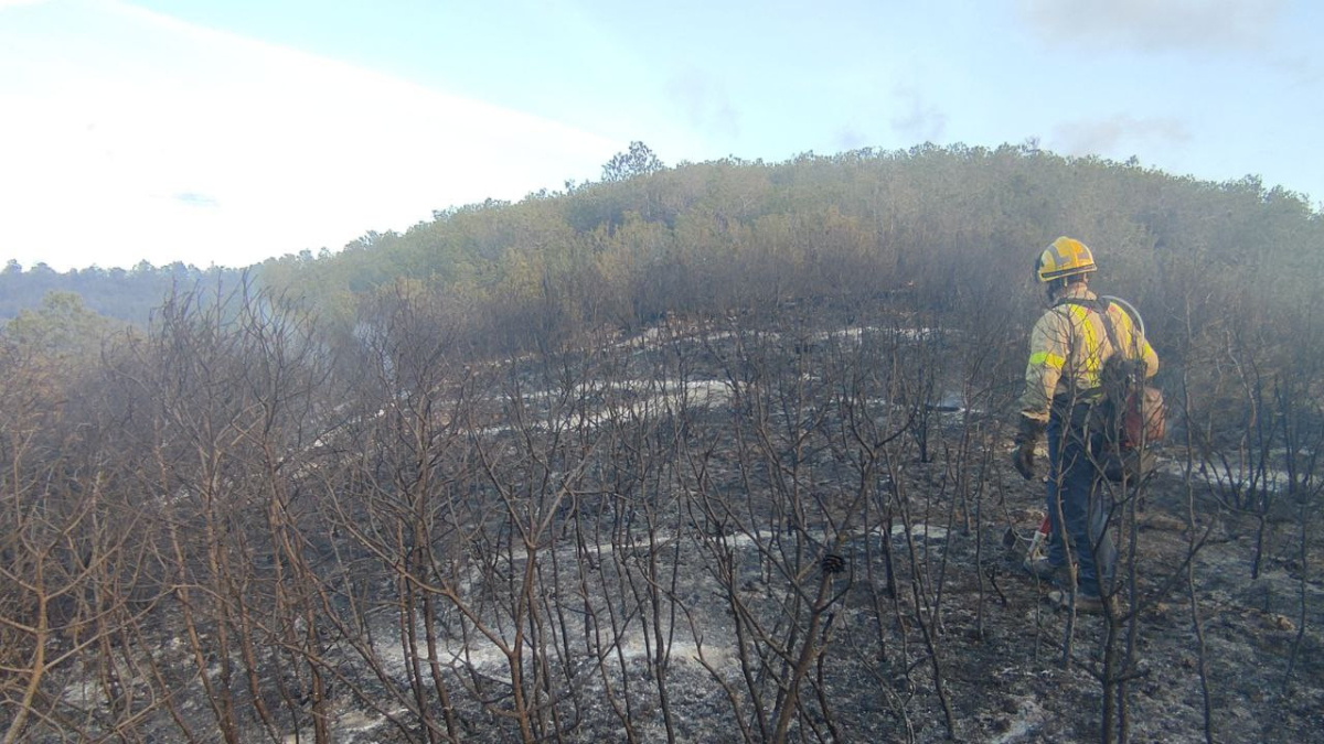 Imagen de los Bombers trabajando en la zona del incendio