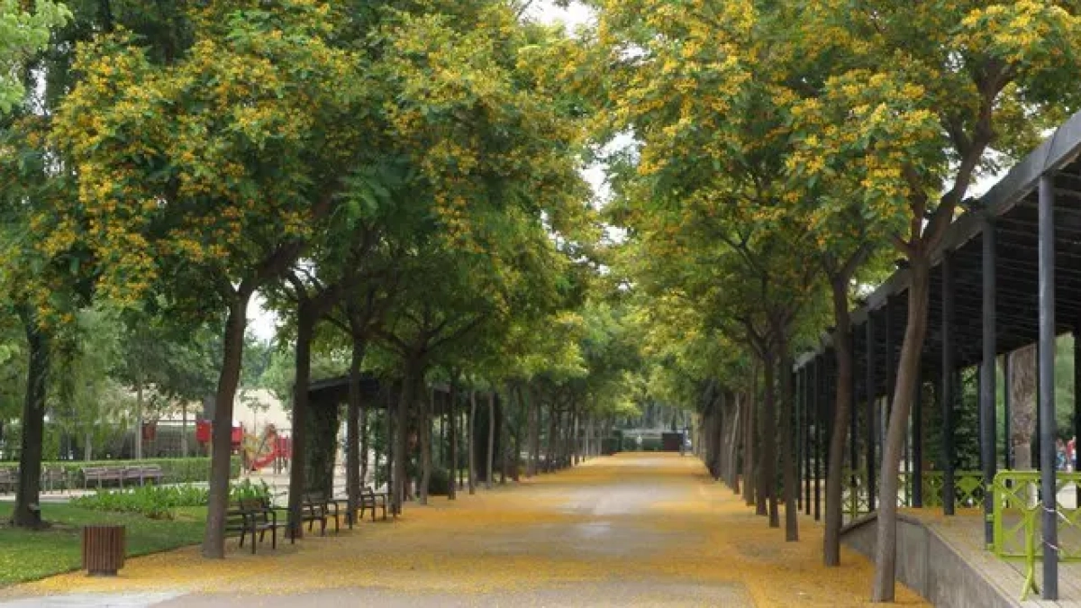 Imagen de archivo del Parque del Pescador de Cambrils.