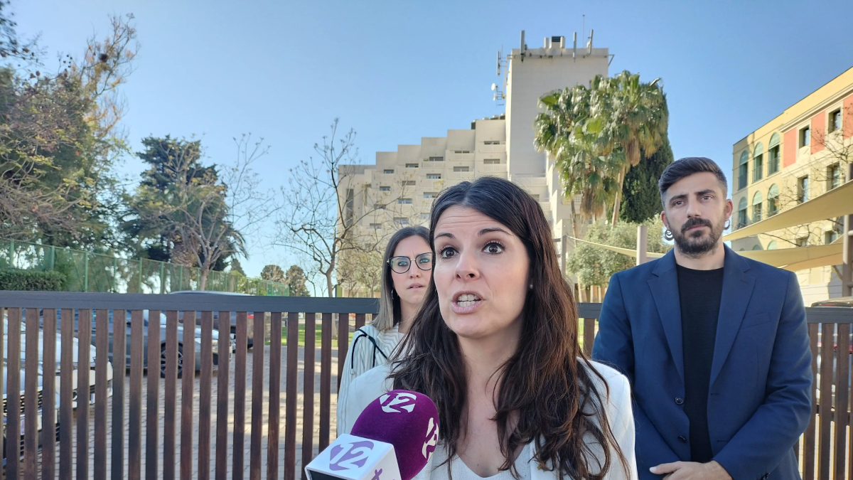 Mònica Sales durante la comparecencia sobre bienestar.