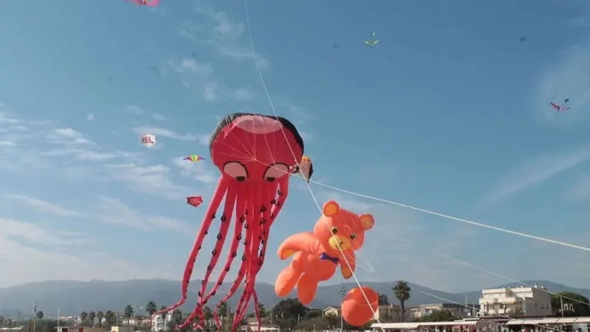 Imagen de cometas gigantes.