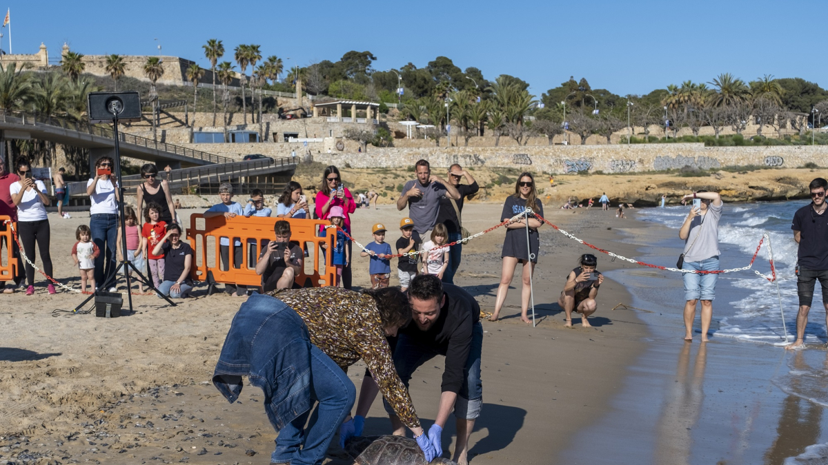 Viñuales participando en la liberación de la tortuga marina Arán.