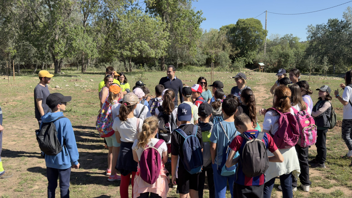 La tradicional plantación escolar del Morell contó con la participación de 200 jóvenes.