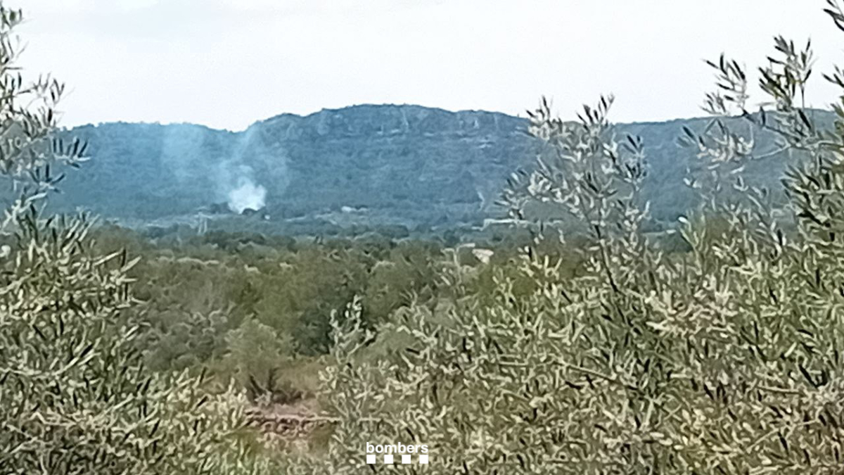 Imagen de la columna de humo del incendio de vegetación en la Ametlla de Mar.