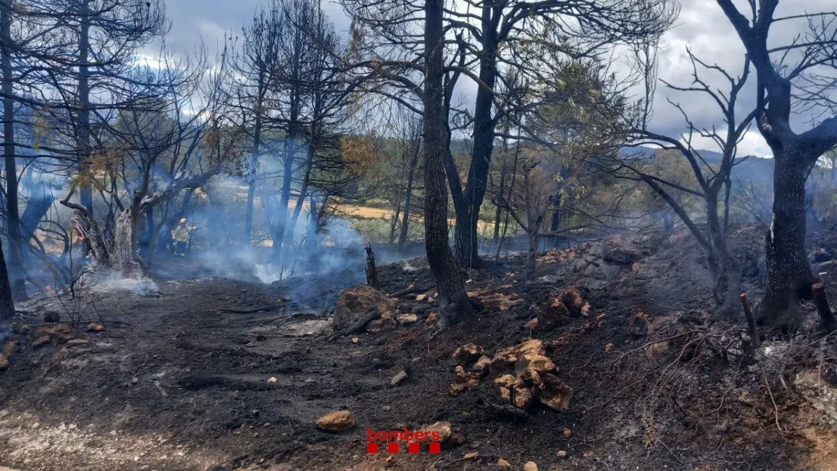 Imagen del incendio en Arnes.