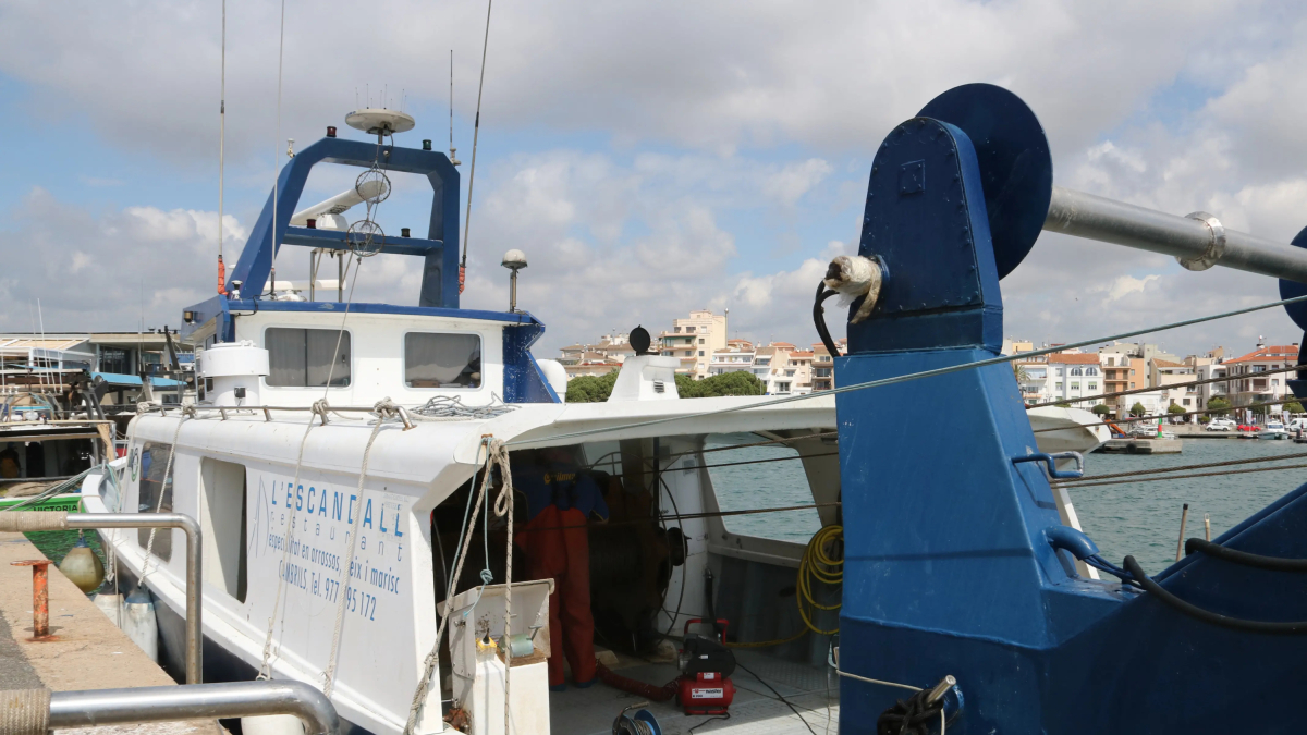 Una de les vuit barques d'arrossegament de Cambrils, al port durant l'aturada biològica.