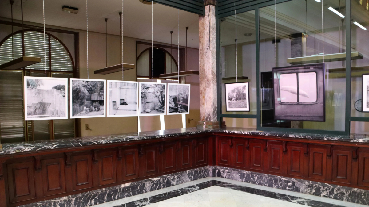 Algunas de las piezas de 'Zoocosis', expuesta en el Banco de España de Tarragona.