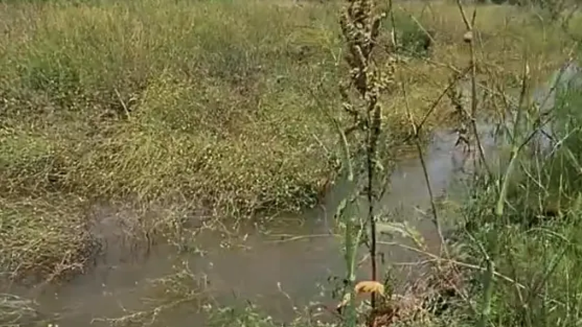 Imatge del cabal del Riu Francolí a Tarragona