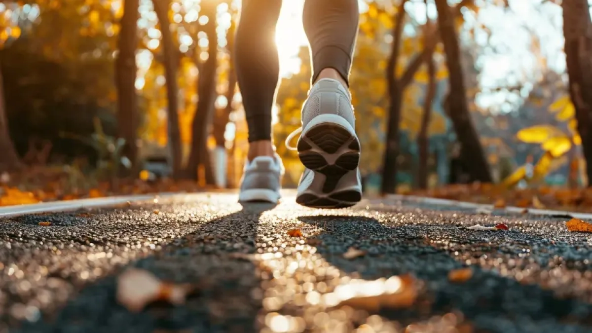 La prova es farà en benefici de la Lliga contra el càncer.