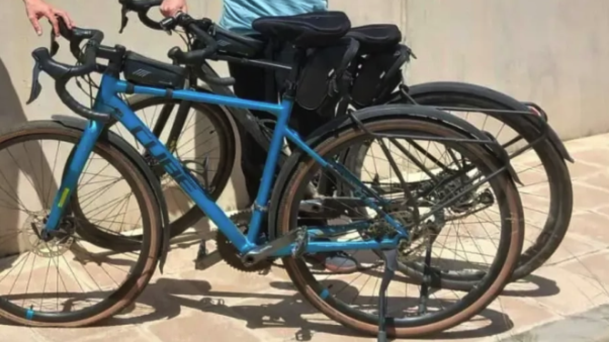 Imatge de les bicicletes perdudes.