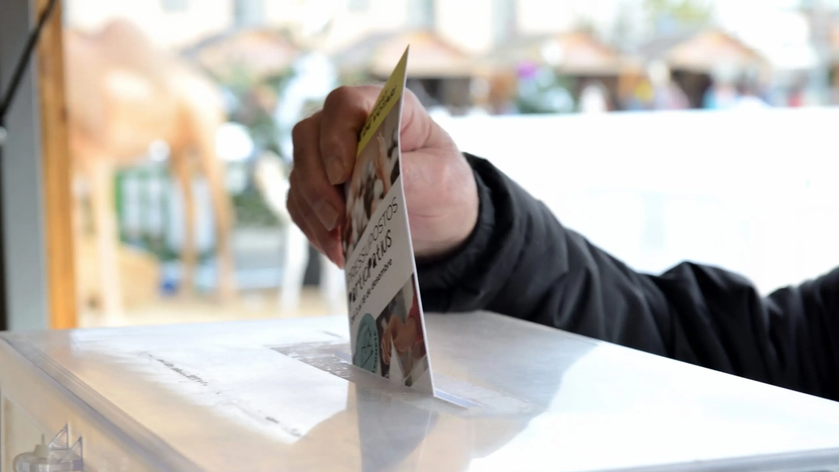 La votación de los proyectos finaliza el 13 de diciembre.
