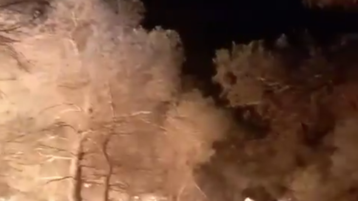 Incendio de Palma d'Ebre.