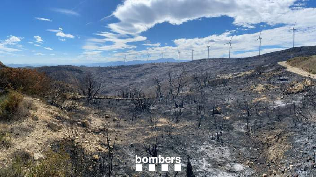 Imagen del incendio del coll de l'Alba de Tortosa.