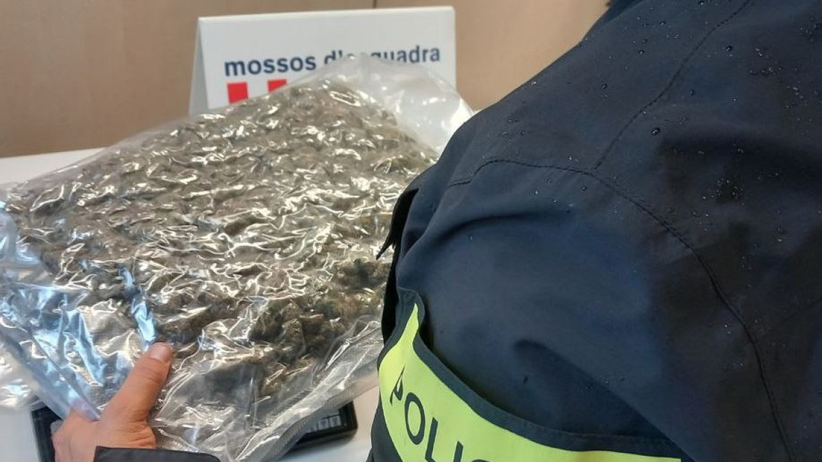 Un agent dels Mossos d'Esquadra amb la droga intervinguda en un domicili de Salou