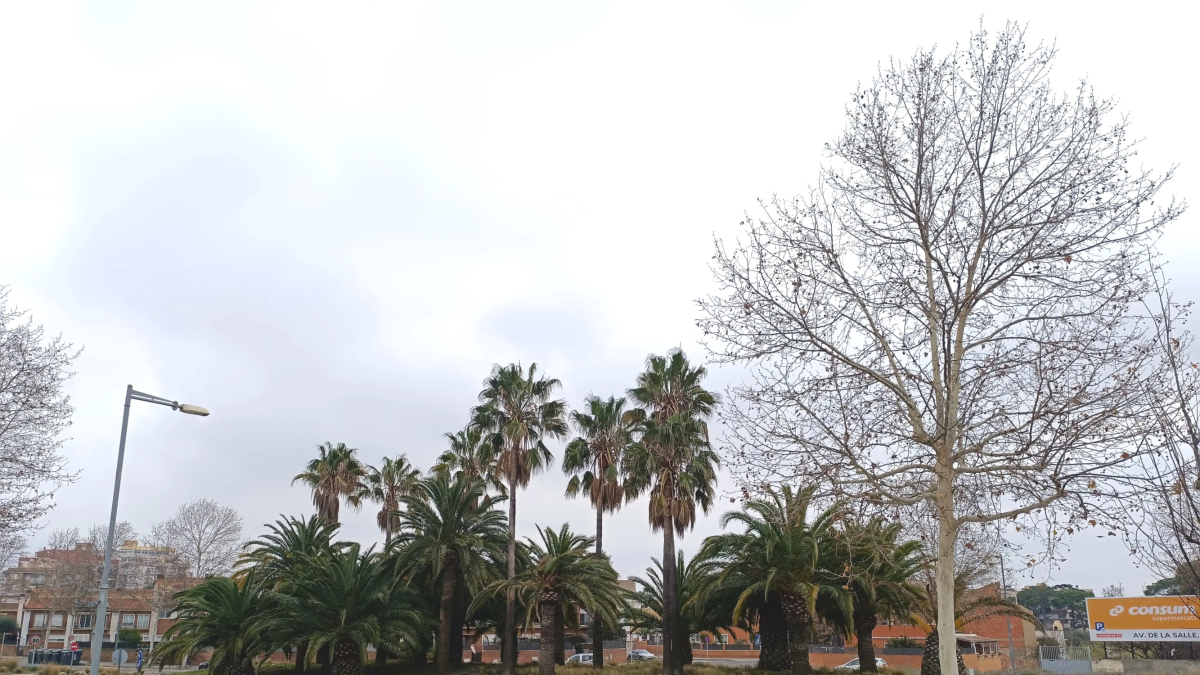 Rotonda de l'avinguda de Riudoms de Reus.