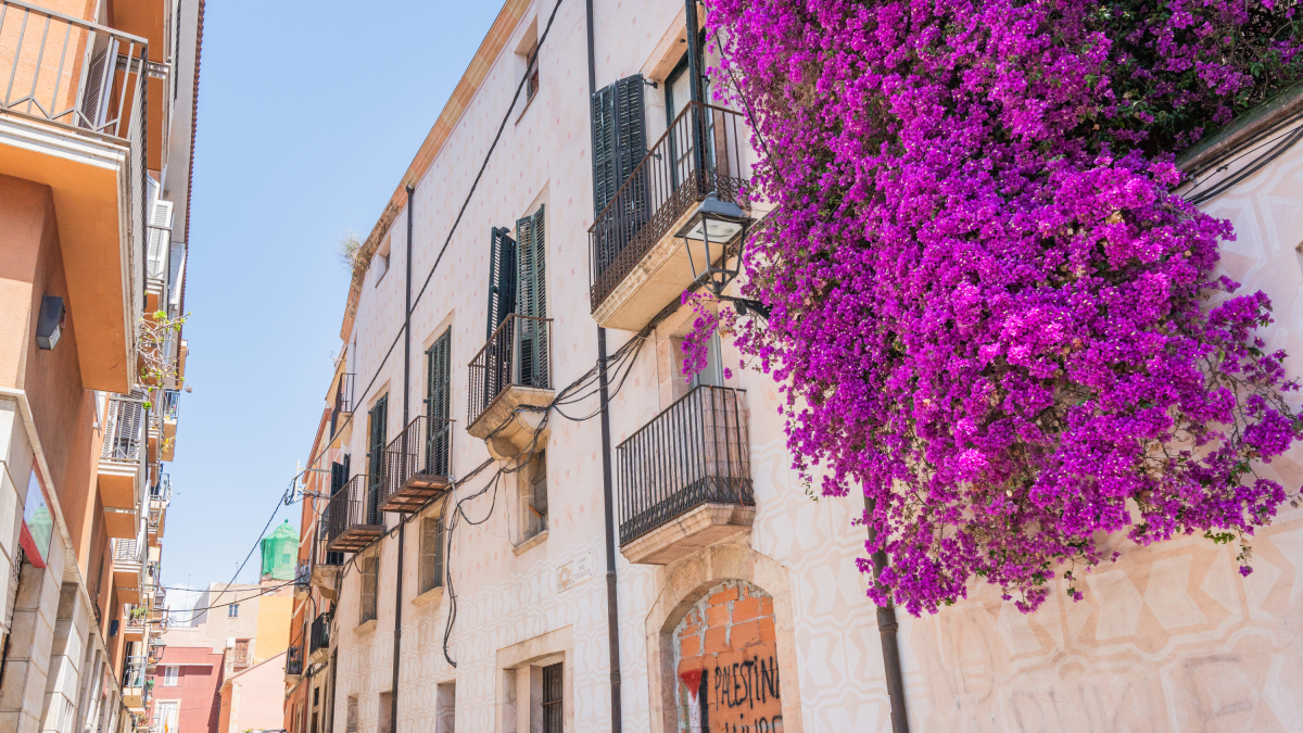 Imatge d’arxiu de l’interior de l’immoble de Cal Pobre.