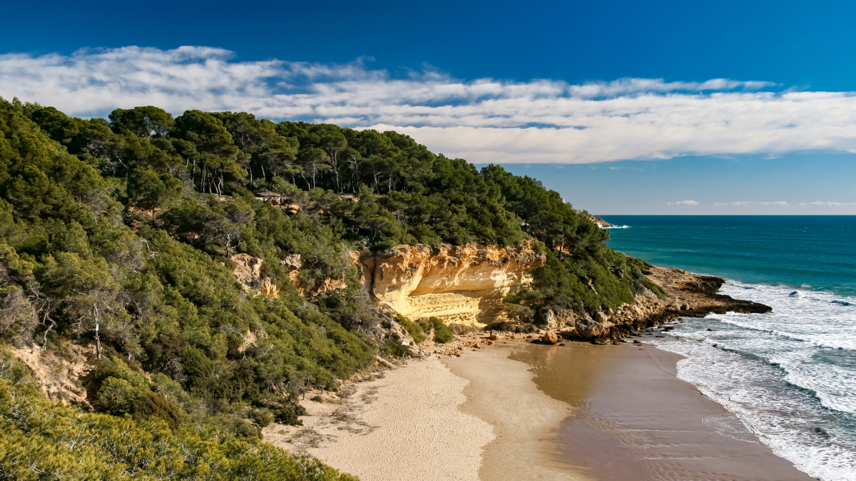 Imagen de la Cala Honda (Waikiki)